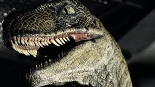 Jurassic Park Raptor Sounds Recreation [upl. by Old308]