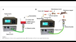 PLGA from PolySciTech used in development of delivery of genes for bone cancer treatment [upl. by Irrac523]