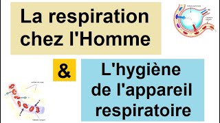 La respiration chez lHomme et lhygiène de lappareil respiratoire  3AC [upl. by Mckay764]