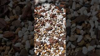 Soil mix for junipers I use🌲💚 bonsai fyp soil mix howto diy pumice perlite akadama [upl. by Suirrad]