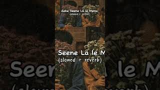 Aake Seene La le Menu slowed reverb sad song 😩🥺💔💔🥺😔 [upl. by Gean]