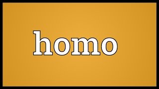 Homo Meaning [upl. by Yltneb]