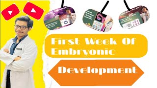 First Week of Embryonic Development [upl. by Ekeiram751]