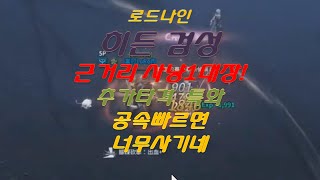 로드나인 히든직업 검성 근거리 사냥1티어 추가타격40지리네 공속 빠르면 더사기 리곰TV [upl. by Esinyl]