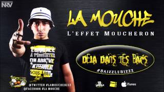 La Mouche  Au dernières News  LeffetMoucheron dispo FnacItunes [upl. by Ahtoelc]