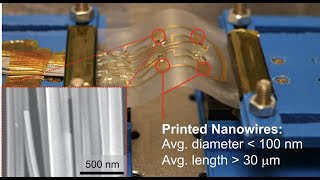 ZnO Nanowires Based Flexible UV Photodetectors for Wearable Dosimetry  IEEE Sensors 2017 [upl. by Tjon]