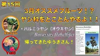 【果樹ラジオ15】この時期オススメのフルーツ！？ヤシ科作物をとことん！パルミラヤシとは！？ [upl. by Allebara]