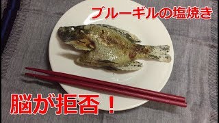 ブルーギルを料理して食べると危険？塩焼きで素材の味を生かした調理法 [upl. by Eitsrik]