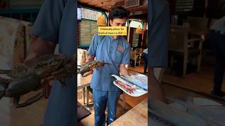 Top Seafood Restaurant In Bangalore Bangalore Food  Bangalore Cafes  Bengaluru [upl. by Dniren]