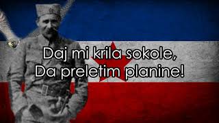 Sivi Sokole  Yugoslav Partisan Song [upl. by Donahue]