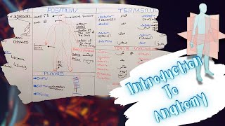 Introduction To Anatomy Anatomical Planes Position Terms of Location amp Movements شرح بالعربى [upl. by Abbey]