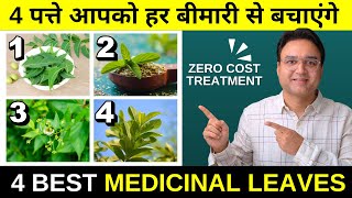 ये 4 पत्ते आपको सैकड़ो बीमारियों से बचाएंगे  4 Medicinal Leaves For Good health [upl. by Olympias130]