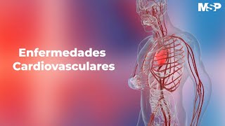 Enfermedades cardiovasculares [upl. by Ardnala667]