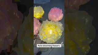 Auto blooming flower event decoration flowerdecoration eventdecor diy [upl. by Kerrin968]