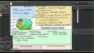 Biology  Module 4  Class Notes p 34 new [upl. by Ocimad276]