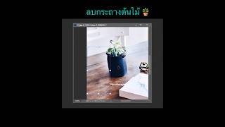 ลบกระถางต้นไม้ 🪴 ภาพโดย StockSnap จาก Pixabay รับแต่งรูป ตัดต่อชุดสูท 24niceimage [upl. by Melvena]