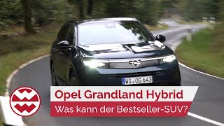 Opel Grandland Hybrid 2025 Was kann der Bestseller ab 36400  World in Motion  Welt der Wunder [upl. by Ellehcam]