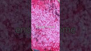 Snail Life Slow Slimy and Rockin Pink Eggs wildlife animals documentary snails snaileggs [upl. by Ulric]