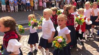 550 Chilbi WaldshutTiengen Festumzug 2018 [upl. by Sile]