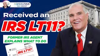 Received an IRS LT11 or 1058 Notice Here’s What You Need to Know [upl. by Eirak583]