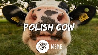 Polish Cow  Meme TraduçãoLegendado Cypis  Gdzie jest biały węgorz Música original completa [upl. by Portugal]