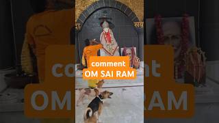 SAIBABA HARATHI saibaba devotional spiritual blessings temple trending viralshorts dog god [upl. by Athalie]