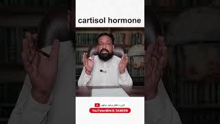 Cartisol Hormones Cartisol hormones ibnetabeeb hakeemzia herbalmedicine short foryou ytvideo [upl. by Avlem]