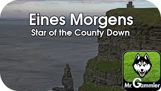 Eines Morgens  Star of the County Down Instrumental [upl. by Kennan]