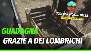 Come funziona e quanto puoi guadagnare da un allevamento di lombrichi con cui produrre humus [upl. by Ohcirej]