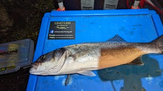 Bass fishing in the Menai Straits [upl. by Animrelliug]