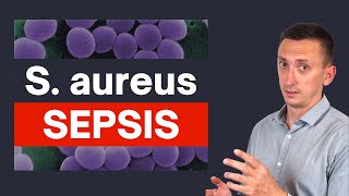 Staphylococcus aureus Sepsis Crucial Tips for Clinicians [upl. by Risley]