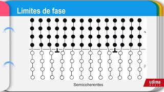 defectos planares Límites de grano maclas y limites de fase [upl. by Oys408]