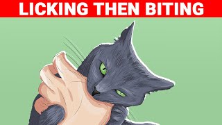 Actual Meanings Behind 9 Strange Cats Behaviors [upl. by Seabury]