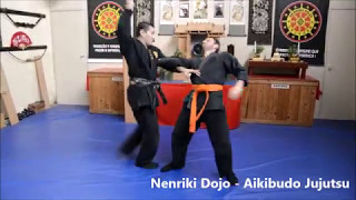 Nenriki Dojo  Escola tradicional de Aikibudo Jujutsu [upl. by Bette]