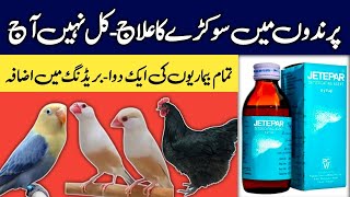 JETEPAR Uses amp Benefits For All Birds  Jetepar Detoxification Agent For All Birds  Mini Zoo [upl. by Zetnod872]