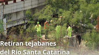 Retiran tejabanes del Río Santa Catarina  Monterrey [upl. by Jany980]