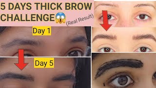 5 Days Eyebrow Growth Challenge  Live Result😱 Best remedy for Dark and Thick Eyebrows 2 Ingredient [upl. by Reynolds324]