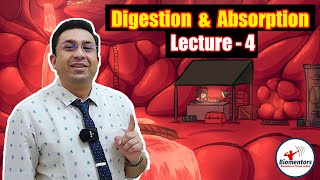 Digestion amp Absorption l Lecture 4 l Biology l NEET [upl. by Enowtna]