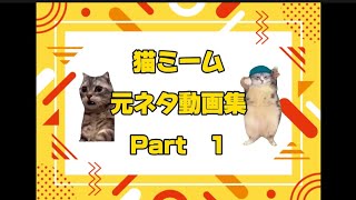 【猫ミーム】元ネタ動画 Part 1 [upl. by Pol]