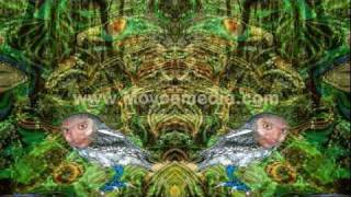 Shpongle  Divine Moments of Truth Animated videoclip TRIPPY [upl. by Elin870]