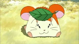 Hamtaro piccoli criceti grandi avventure  Sigla completa [upl. by Monk]