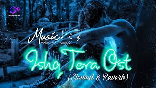 Ishq Tera Ost  Shehzadi House  Adrian David  Slowed amp Reverb Full Ost Song [upl. by Volotta38]