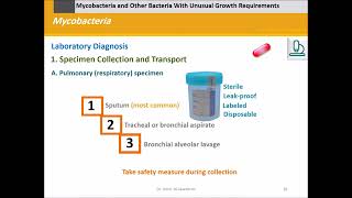 Mycobacteria Mycobacterium tuberculosis and others [upl. by Aneral764]