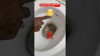 flush tank leakage plumbing shorts plumber youtubeshorts flush leakage repair [upl. by Allicsirp]