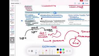 DPP 4 inhibitors mechanism of action endocrinology 91  First Aid USMLE Step 1 in UrduHindi [upl. by Ettennal]