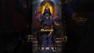 10 Avatars of lord Shiva 🕉️  shoorveer short mythology history [upl. by Tildi525]