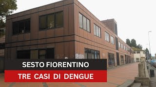 Dengue tre casi di cui uno autoctono a Sesto Fiorentino [upl. by Morie]