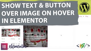 How to Show Text amp Button Over Image on Hover in Elementor WordPress  Reveal Content  Widget [upl. by Enitsyrhc]