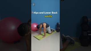 Hips and Lower Back Stretches before Workout  Daily Mobility Routine stretching stretchroutine [upl. by Luhe]