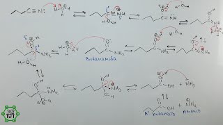 Hidrólisis de Nitrilos Catalizada por Ácido  Hidrólisis Ácida de Amidas  Mecanismo de Reacción [upl. by Lazarus]